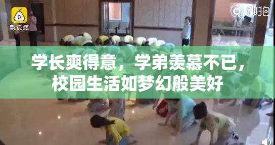 学长爽得意，学弟羡慕不已，校园生活如梦幻般美好