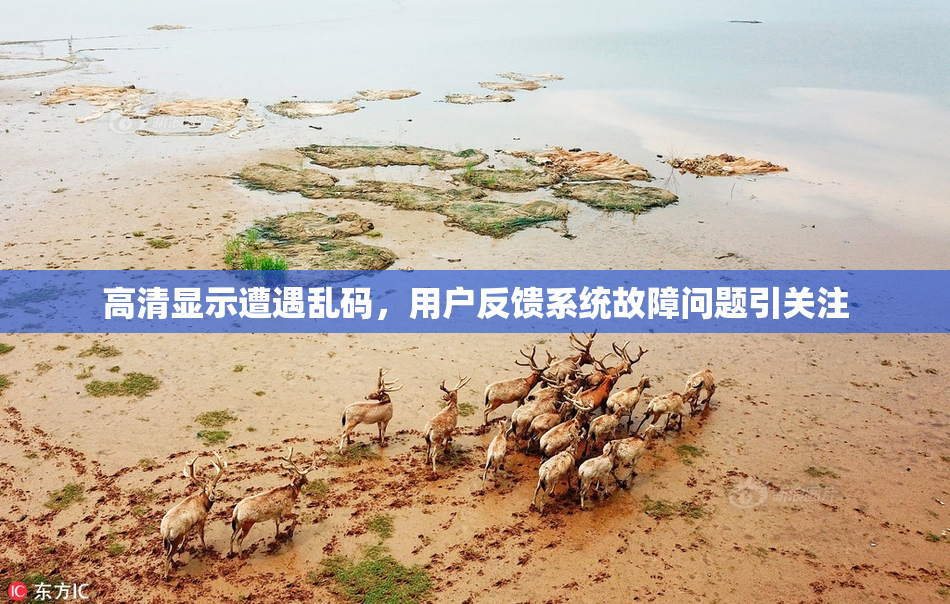 高清显示遭遇乱码，用户反馈系统故障问题引关注