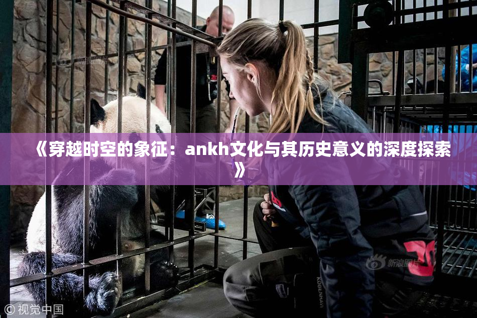 《穿越时空的象征：ankh文化与其历史意义的深度探索》