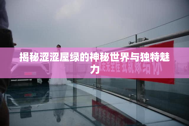 揭秘涩涩屋绿的神秘世界与独特魅力