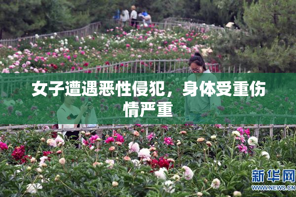 女子遭遇恶性侵犯，身体受重伤情严重