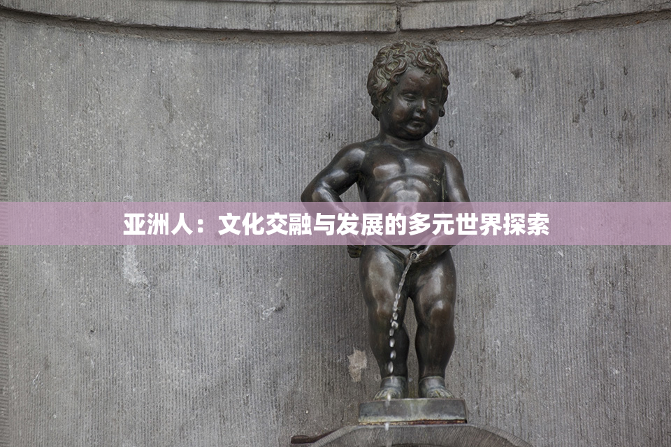 亚洲人：文化交融与发展的多元世界探索