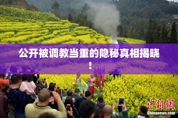 公开被调教当重的隐秘真相揭晓！