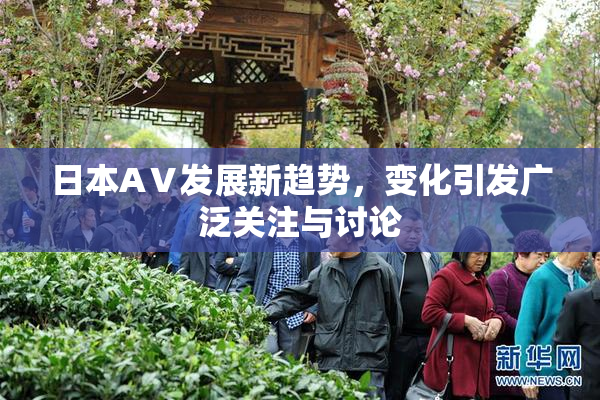 日本AⅤ发展新趋势，变化引发广泛关注与讨论