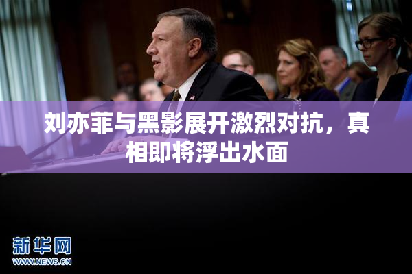 刘亦菲与黑影展开激烈对抗，真相即将浮出水面