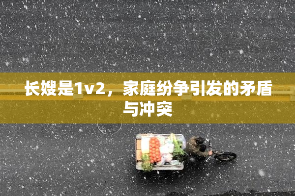 长嫂是1v2，家庭纷争引发的矛盾与冲突