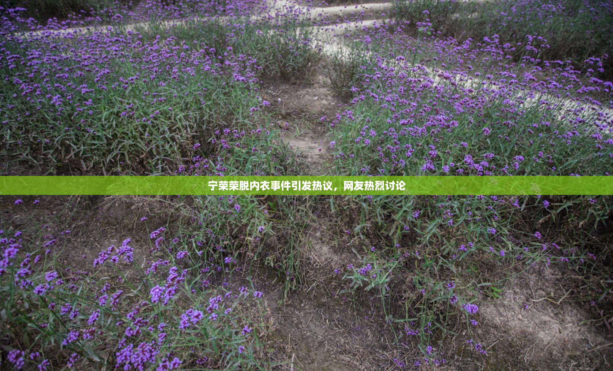 宁荣荣脱内衣事件引发热议，网友热烈讨论