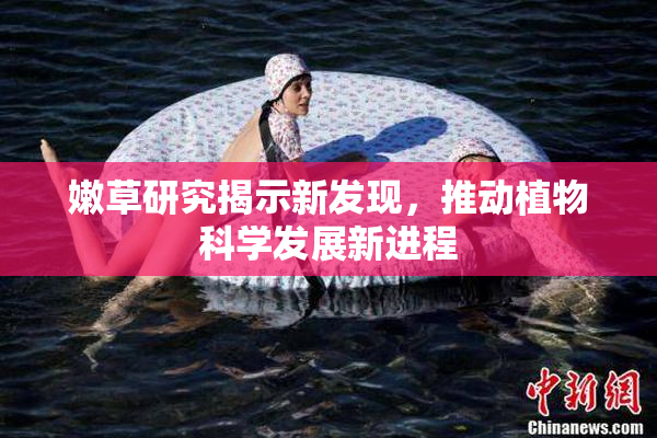 嫩草研究揭示新发现，推动植物科学发展新进程
