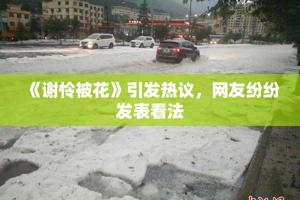 《谢怜被花》引发热议，网友纷纷发表看法