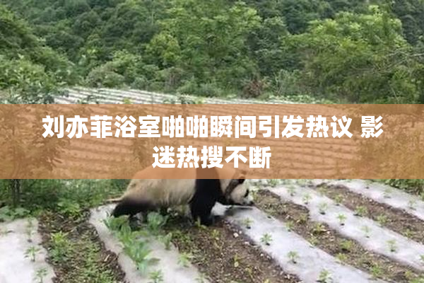 刘亦菲浴室啪啪瞬间引发热议 影迷热搜不断
