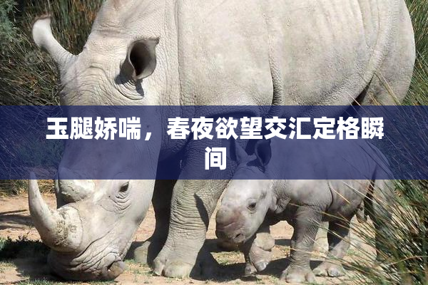 玉腿娇喘，春夜欲望交汇定格瞬间