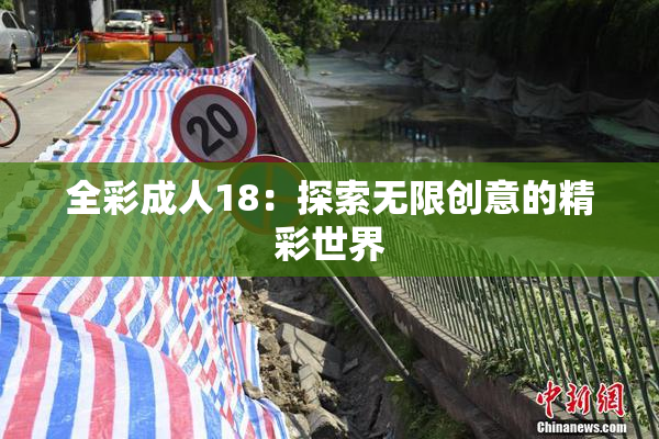 全彩成人18：探索无限创意的精彩世界