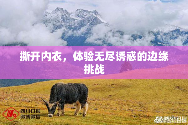 撕开内衣，体验无尽诱惑的边缘挑战