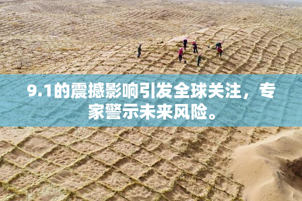 9.1的震撼影响引发全球关注，专家警示未来风险。