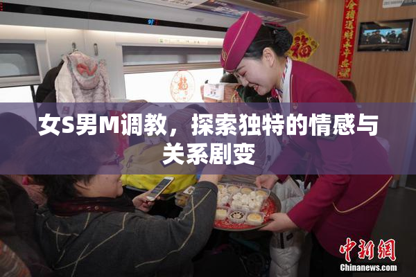 女S男M调教，探索独特的情感与关系剧变