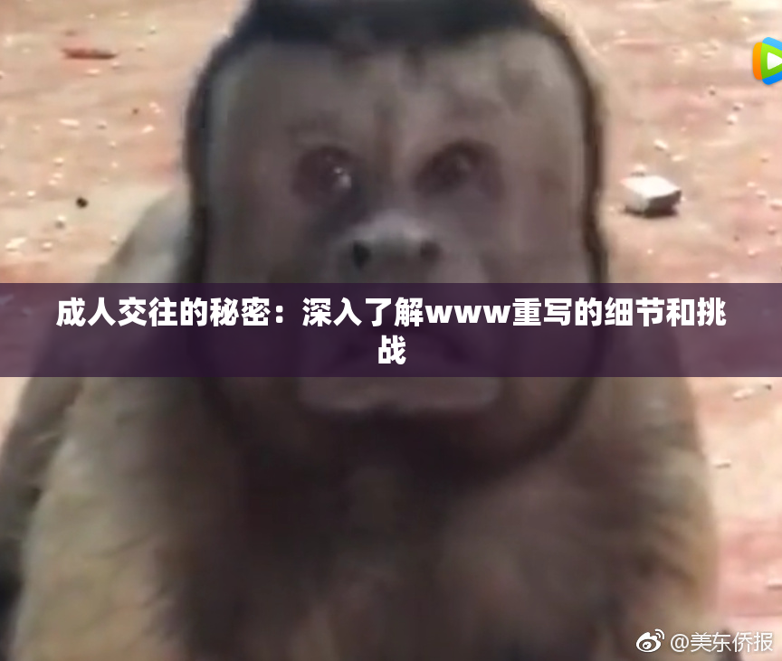 成人交往的秘密：深入了解www重写的细节和挑战