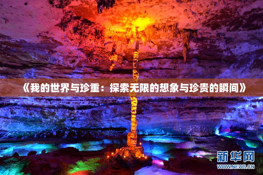 《我的世界与珍重：探索无限的想象与珍贵的瞬间》