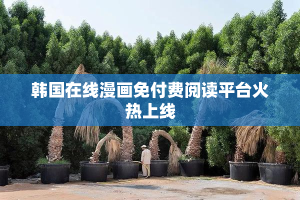 韩国在线漫画免付费阅读平台火热上线
