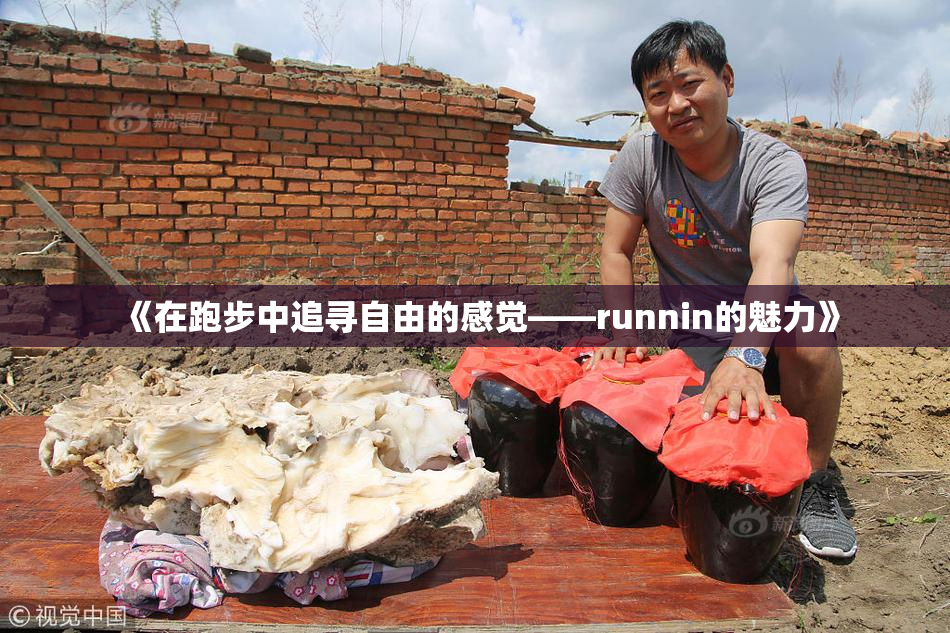 《在跑步中追寻自由的感觉——runnin的魅力》