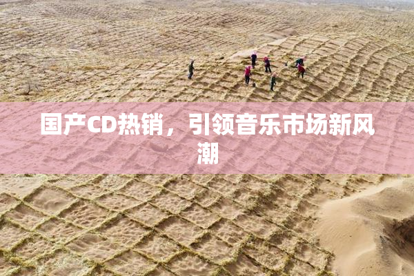 国产CD热销，引领音乐市场新风潮
