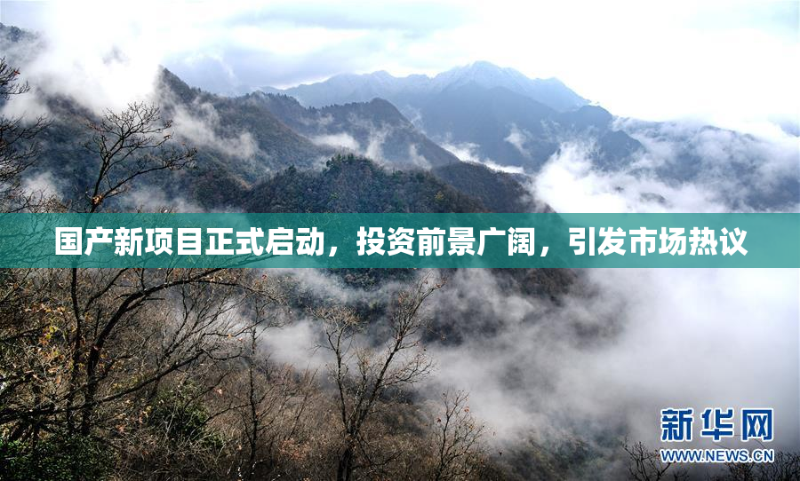 国产新项目正式启动，投资前景广阔，引发市场热议