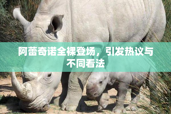 阿蕾奇诺全裸登场，引发热议与不同看法