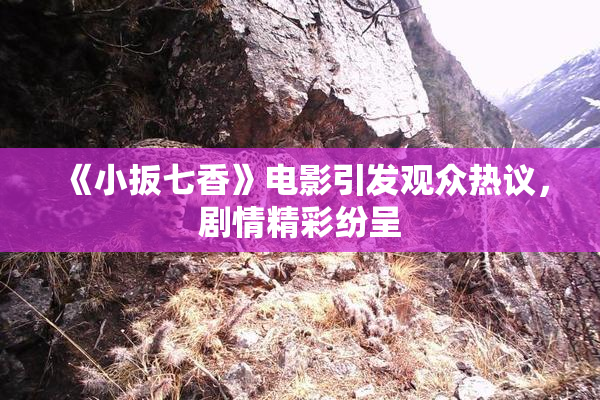 《小扳七香》电影引发观众热议，剧情精彩纷呈