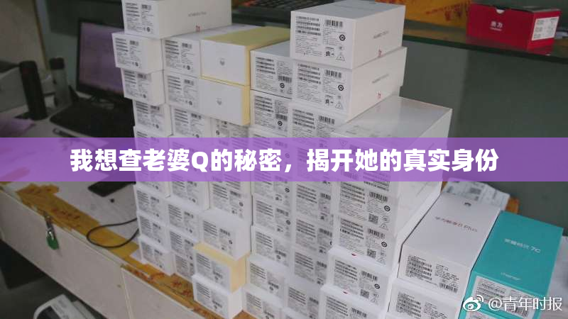 我想查老婆Q的秘密，揭开她的真实身份