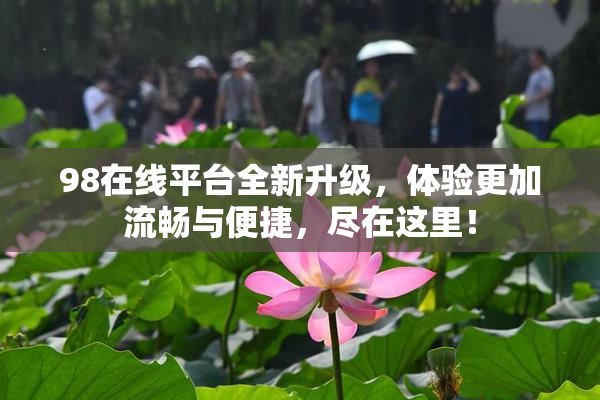 98在线平台全新升级，体验更加流畅与便捷，尽在这里！