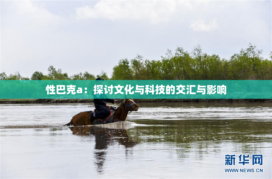 性巴克a：探讨文化与科技的交汇与影响