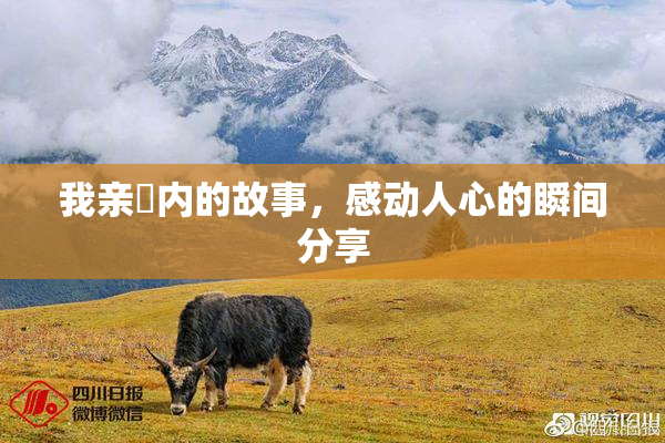 我亲妺内的故事，感动人心的瞬间分享