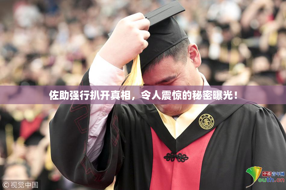佐助强行扒开真相，令人震惊的秘密曝光！