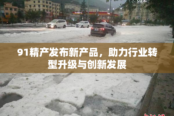91精产发布新产品，助力行业转型升级与创新发展