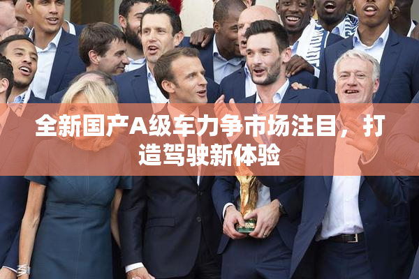 全新国产A级车力争市场注目，打造驾驶新体验