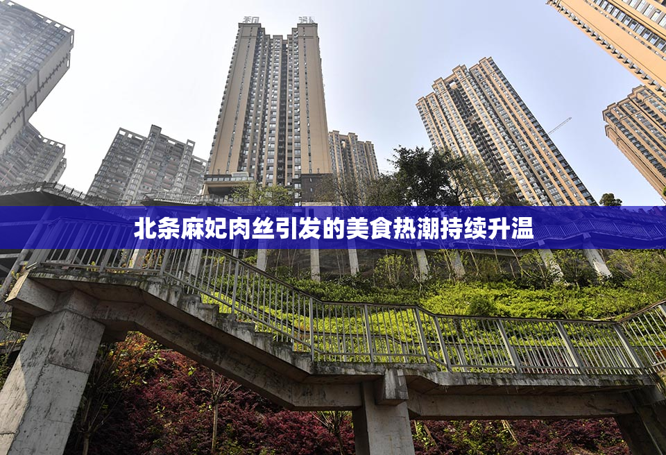 北条麻妃肉丝引发的美食热潮持续升温