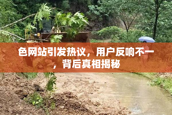 色网站引发热议，用户反响不一，背后真相揭秘