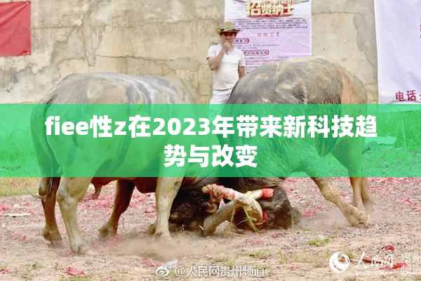 fiee性z在2023年带来新科技趋势与改变