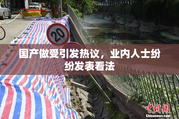 国产做受引发热议，业内人士纷纷发表看法