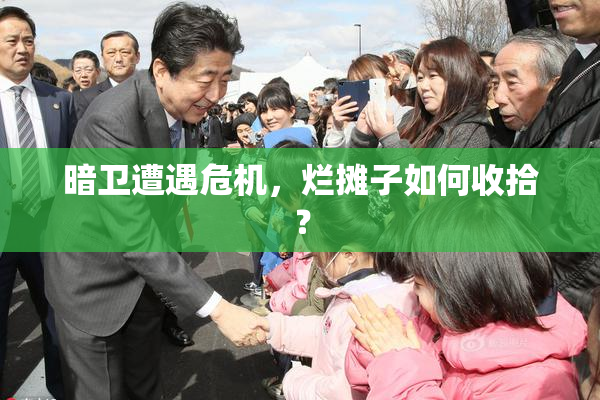 暗卫遭遇危机，烂摊子如何收拾？