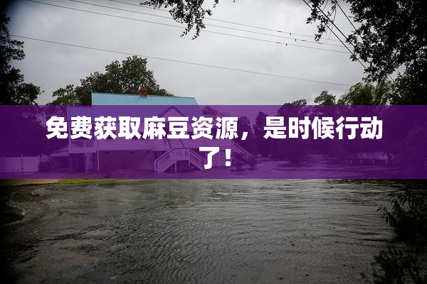 免费获取麻豆资源，是时候行动了！