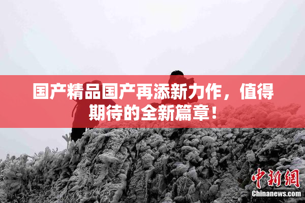 国产精品国产再添新力作，值得期待的全新篇章！