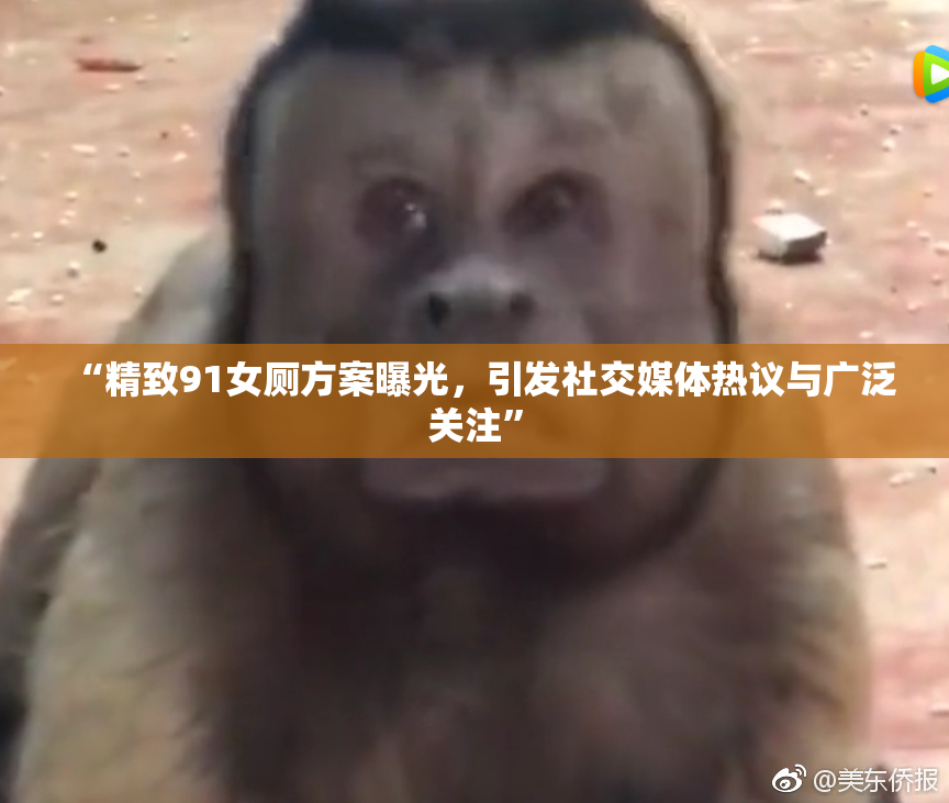 “精致91女厕方案曝光，引发社交媒体热议与广泛关注”