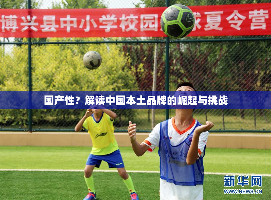 国产性？解读中国本土品牌的崛起与挑战