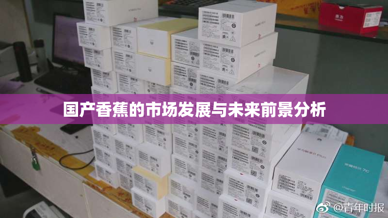国产香蕉的市场发展与未来前景分析