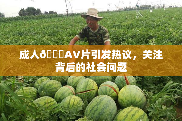 成人🔞AV片引发热议，关注背后的社会问题