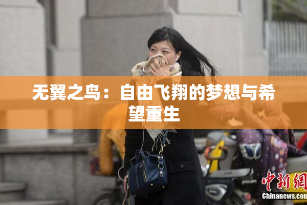 无翼之鸟：自由飞翔的梦想与希望重生