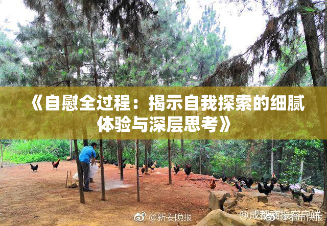 《自慰全过程：揭示自我探索的细腻体验与深层思考》
