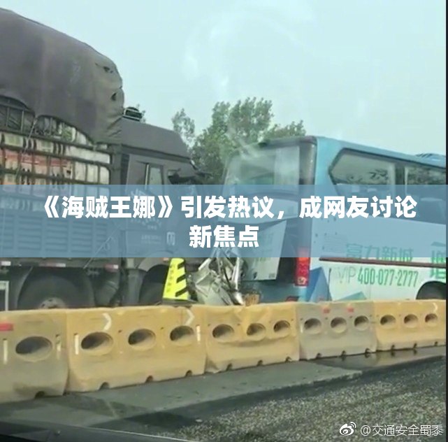 《海贼王娜》引发热议，成网友讨论新焦点