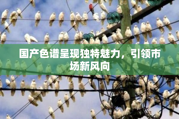 国产色谱呈现独特魅力，引领市场新风向