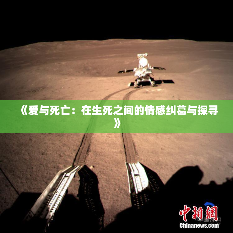 《爱与死亡：在生死之间的情感纠葛与探寻》